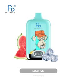 Fumot Original RandM Digital Box Dispositivo de vapeo con pantalla de líquido y batería 12000 hielo exuberante J6Z07 RandM Tornado Vape Shop