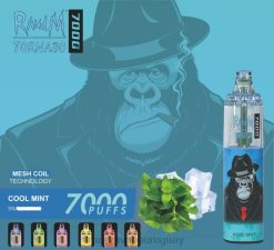 RandM Tornado Dispositivo vapeador con control de flujo de aire 7000 1 ud. menta fresca J6Z0164 RandM Vape Sale